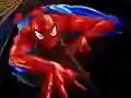 Leikur Púslí Spiderman á netinu Leikur Púslí Spiderman á netinu