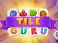 Leikur Flís Guru á netinu