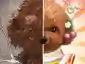 Leikur Gæludýra Makeup Meistari á netinu
