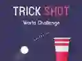 Leikur Heimsmeistaramótið í Trick Shot á netinu Leikur Heimsmeistaramótið í Trick Shot á netinu
