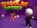 Leikur Shaolin fótbolti á netinu