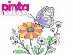 Leikur Pinta Lit á netinu Leikur Pinta Lit á netinu