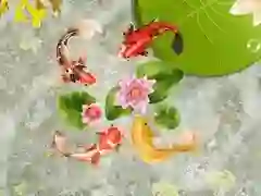 Leikur Koi fiskilón á netinu Leikur Koi fiskilón á netinu