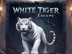 Leikur Flótti hvíta tigra á netinu