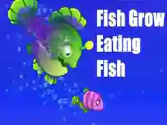 Leikur Fiskið vex við því að borða fisk á netinu