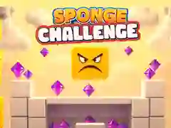 Leikur Sponge áskorun á netinu Leikur Sponge áskorun á netinu