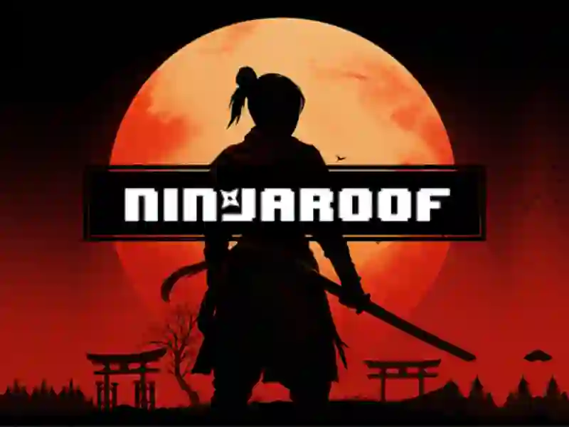 Leikur Ninja þak á netinu