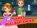 Leikur James Raunveruleg Barþjónn á netinu