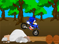 Leikur Kross Sonic Keppni á netinu