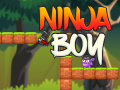 Leikur Ninja Strákur á netinu