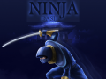 Leikur Ninja Dash á netinu