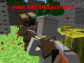 Leikur Pixla Skot Apokalips 2 á netinu