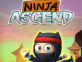 Leikur Ninja Stig á netinu