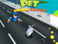 Leikur Gæludýr: Subway Surfers á netinu