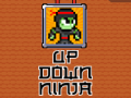 Leikur Ninja Upp Niður á netinu