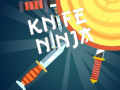 Leikur Ninja með hníf á netinu