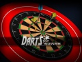 Leikur Darts Pro Fjölpleikari á netinu