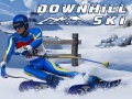 Leikur Skíði niður á netinu
