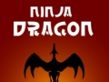 Leikur Ninja Drekki á netinu