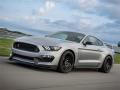 Leikur Mustang Shelby Pusla á netinu