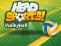 Leikur Head Sports Blakksjúkur á netinu