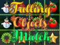 Leikur Falling Object Match á netinu