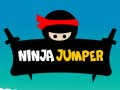 Leikur Ninja Róter á netinu