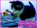 Leikur Sex litlu köttur á netinu