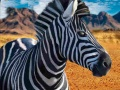 Leikur Zebra veiðimaður á netinu