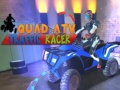 Leikur Quad ATV Umferðar Hraðleiks á netinu