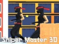 Leikur Sniper Meistarinn 3D á netinu