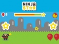 Leikur Ninja Stjarna á netinu