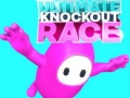 Leikur Ultimate Knockout Race á netinu