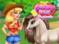 Leikur Audrey Pony Dagmamma á netinu