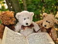 Leikur Góður Þrjár Teddy Puzzla á netinu