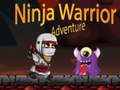 Leikur Ninja Warrior Ævintýri á netinu