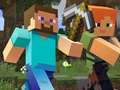 Leikur Minecraft Falið Efnivið á netinu