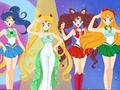 Leikur Sailor Moon Persónuskapar á netinu