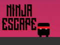 Leikur Ninja flótti á netinu