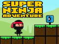 Leikur Ofur Ævintýri Ninja á netinu
