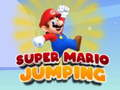 Leikur Super Mario Uppskoðun á netinu
