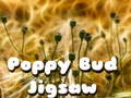 Leikur Poppy Bud ráðgáta á netinu