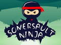 Leikur Ninja Somersault á netinu