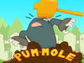 Leikur Pum-Mole á netinu