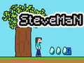 Leikur Steveman á netinu