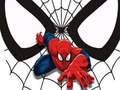 Leikur Spiderman Samlimeskort á netinu