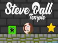 Leikur Steve Ball Musteri á netinu