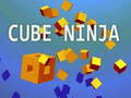 Leikur Kúb Ninjinn á netinu