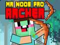 Leikur Herr Noob Pro Bogmaður á netinu