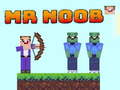 Leikur Herra Noob á netinu